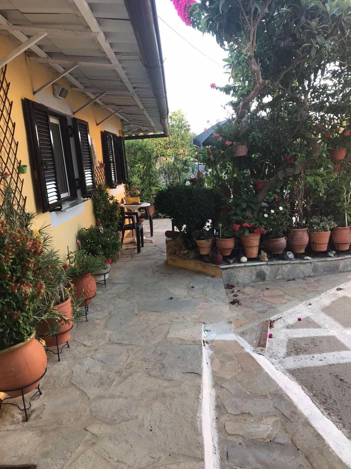 Mitsani Case de vacanță *