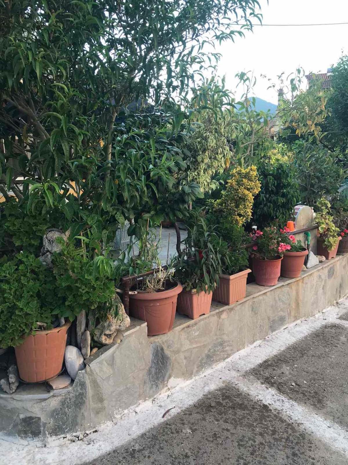 Mitsani Holiday home