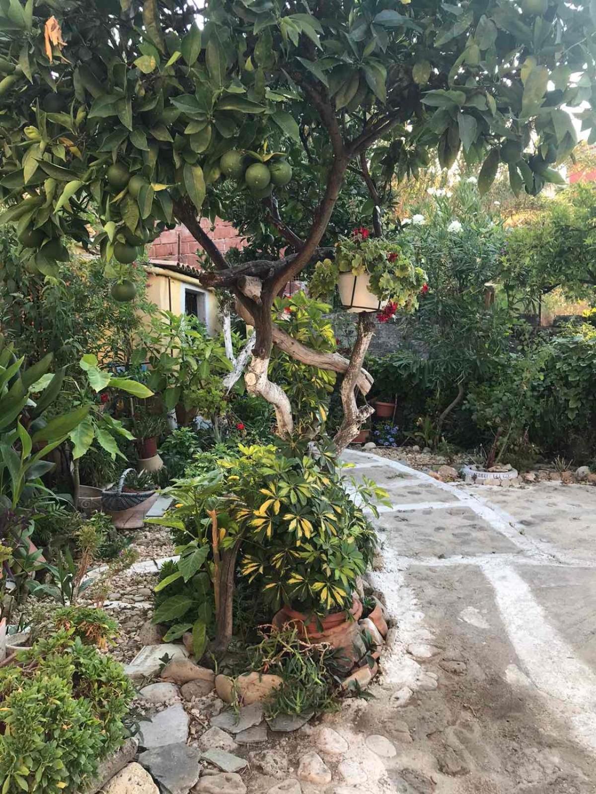 Mitsani * Agios Matthaios (Corfu)